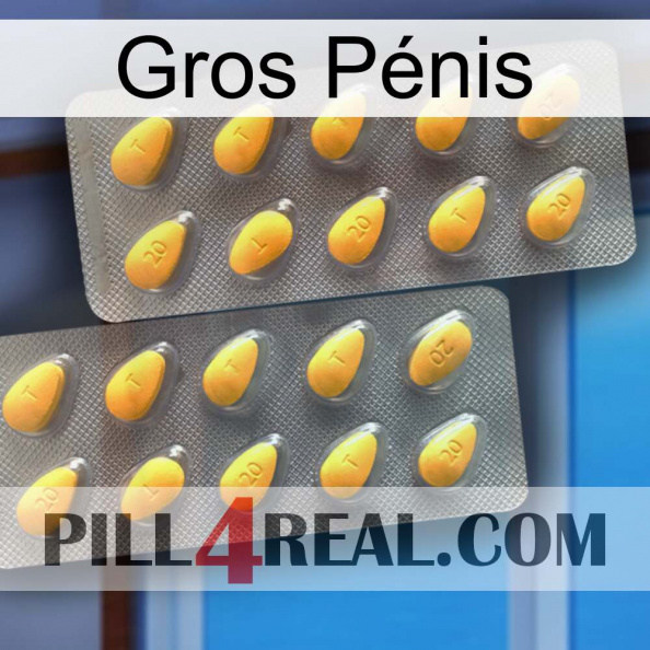 Gros Pénis cialis2